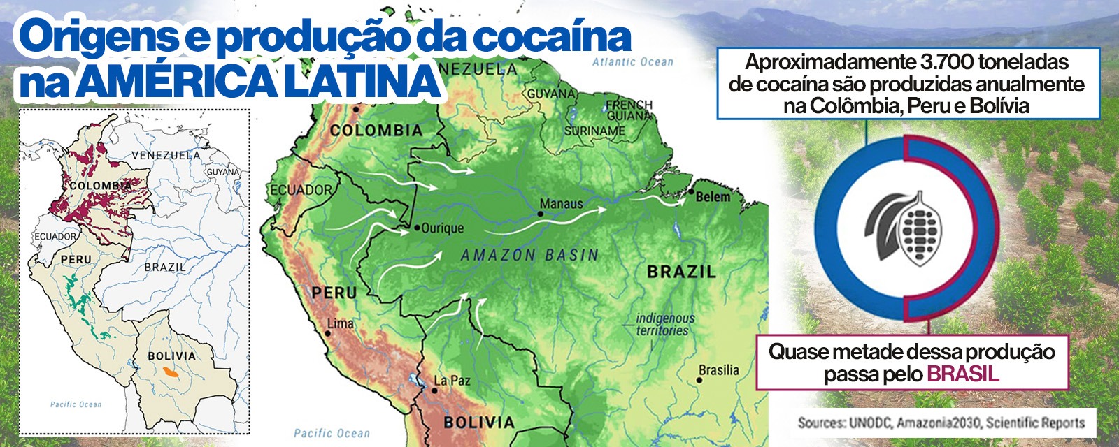 Imagem do WhatsApp de 2025-08-25 à(s) 09.13.45_ec8cf271