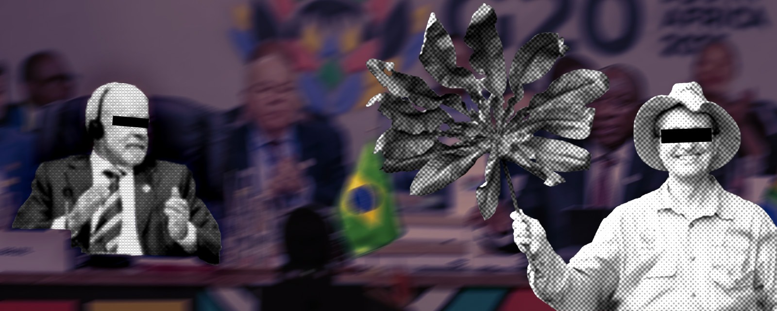 WhatsApp Image 2025-11-30 at 12.36.08