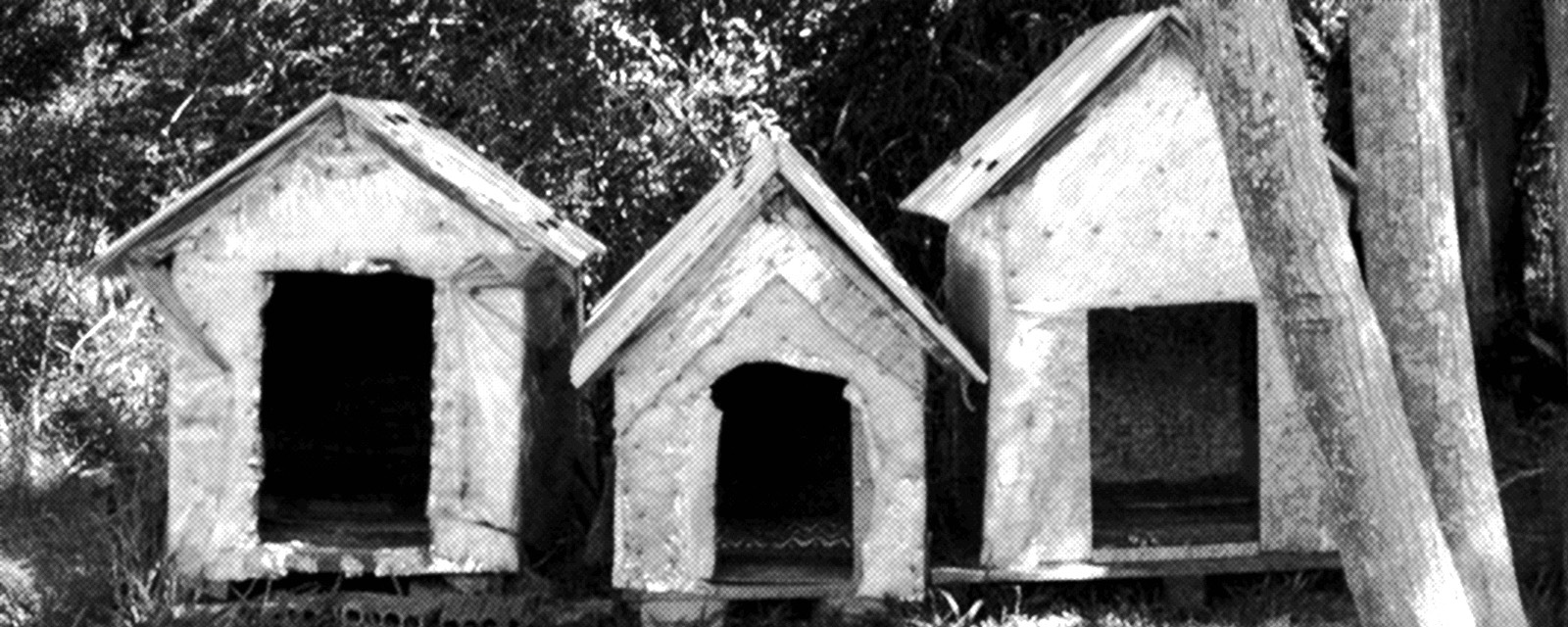 WhatsApp Image 2026-01-29 at 09.35.28